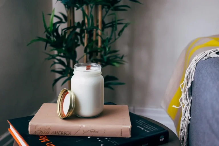 5 Easy To Grow Houseplants That Clean The Air