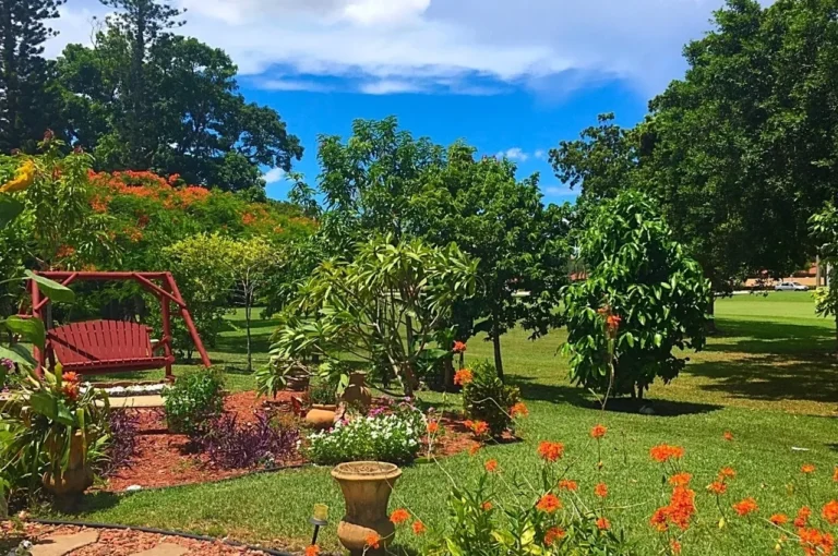 5 Garden Tips That Will Save You Time And Money
